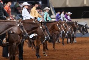 Game-Changing Partnership Opens New Doors for Texas Youth Competing at AQHA Events