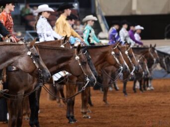 Game-Changing Partnership Opens New Doors for Texas Youth Competing at AQHA Events