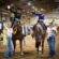 Stall Assignments and Patterns for 2026 AQHYA World Show