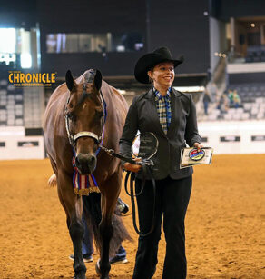 L1 Champion of Champions 2026 AQHYA World Qualifiers