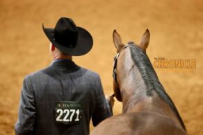 EC Photo of the Day: Life is a Grand Adventure