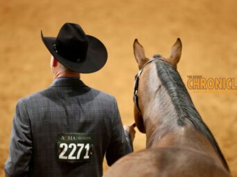 EC Photo of the Day: Life is a Grand Adventure