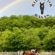 IEA Announces New Ride for Rayas Grant to Expand Access to Equestrian Competition for New York Hunt Seat Riders