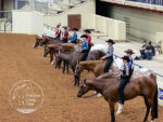 Around the Rings: 2026 National Appaloosa Show