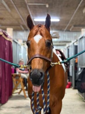 EC Photo of the Day: Hello, Friday