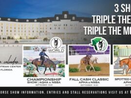 Entries for The Championship Show at WEC-Ocala are Now Open