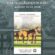 2026 Markel Insurance BCF Yearling Sale Catalog Now Online