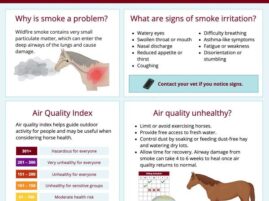 Wildfire Smoke & Horse Health