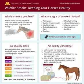 Wildfire Smoke & Horse Health