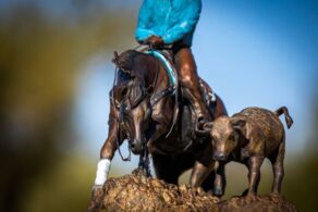 Gallentine Tops First 2027 The Run For A Million Cow Horse Challenge Qualifier