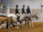 Around the Rings: 2026 Minnesota POAC Futurity Show