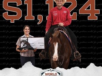 2026 APHA World Show Reining Sweepstakes Complete Results