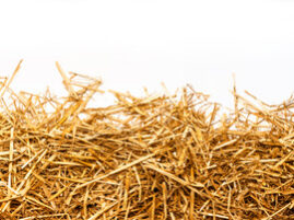 Wild Rice Straw Bedding for Horses: Suitable for Respiratory Health