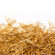 Wild Rice Straw Bedding for Horses: Suitable for Respiratory Health