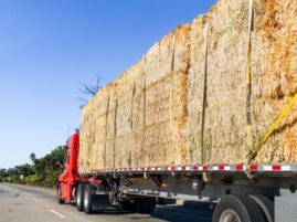 Horse Owners Should Begin Stocking up on Hay Now Before it’s Too Late