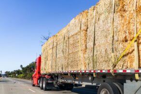 Horse Owners Should Begin Stocking up on Hay Now Before it’s Too Late