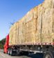 Horse Owners Should Begin Stocking up on Hay Now Before it’s Too Late