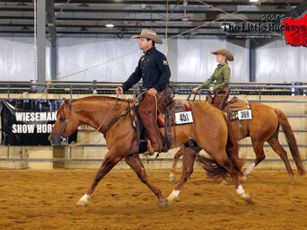 Around the Rings: 2026 OAQHA Little Buckeye