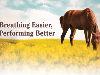 Breathing Easier, Performing Better