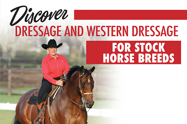 Discover Dressage And Western Dressage For Stock Horse Breeds