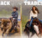 Jack Of All Trades: All-Around Competitors Take On A New Challenge In Reining