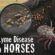 Lyme Disease In Horses: The Invisible, Expanding Threat Behind Vague Symptoms