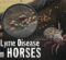 Lyme Disease In Horses: The Invisible, Expanding Threat Behind Vague Symptoms