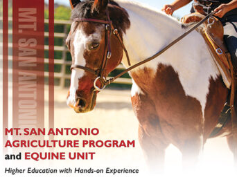 Mt. San Antonio Agriculture Program And Equine Unit