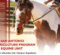 Mt. San Antonio Agriculture Program And Equine Unit
