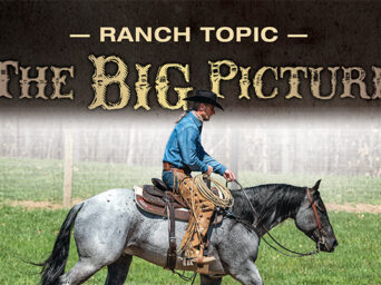 Ranch Topic: The Big Picture
