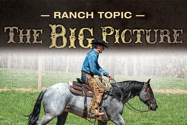 Ranch Topic: The Big Picture