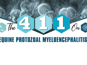 The 411 On Equine Protozoal Myeloencephalitis