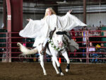 Around the Rings: 2026 IBHA World Show