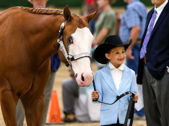 More Around the Rings:  2026 Ohio Paint Horse Club Buckeye Bonanza