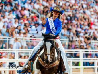 Not Just a One Trick Pony: Three Elegant Chips Transforms from Show Horse to Rodeo Queen Horse