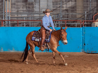 Around the Rings – 2026 North American Saddle Mule & Donkey Association Nationals