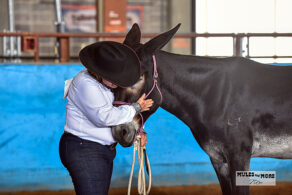 EC Photo of the Day: You Are My Greatest Adventure