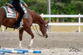 EC Photo of the Day: What Is Success?