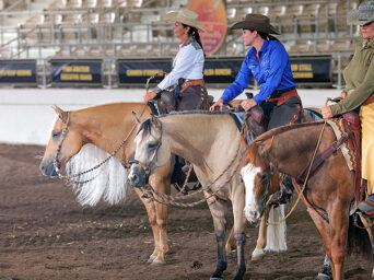More Around the Rings: 2026 Palomino HBA World Championship Show