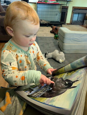 EC Photo of the Day: Chasing Dreams
