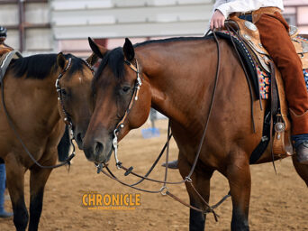 Around the Rings: Utah QHA Rose Circuit