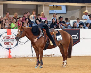 IEA Riders Dazzle at Western National Finals
