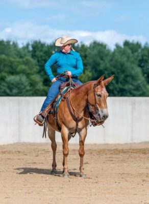 EC Photo of the Day: Long Ear Love Ranch Edition