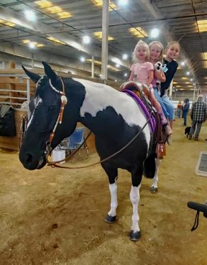 EC Photo of the Day: A Show Horse’s Super Power
