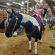 EC Photo of the Day: A Show Horse’s Super Power