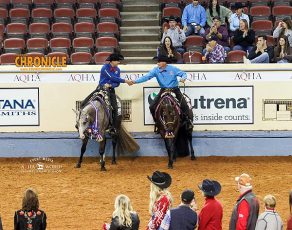 2026 AQHA Pleasure Versatility Challenge Entry Form Now Live