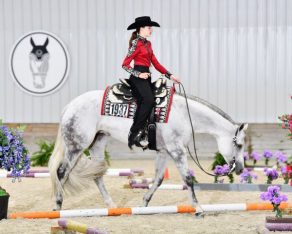 Join WEC-Ocala in September for Quarter Horse, Paint and Appaloosa Competition with More Than $1M in Prize Money