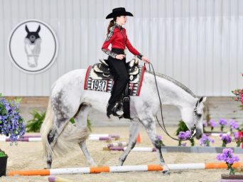 Join WEC-Ocala in September for Quarter Horse, Paint and Appaloosa Competition with More Than $1M in Prize Money