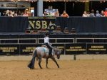 Rock N Rolling Into CINCH Horsemanship Finals