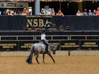 Rock N Rolling Into CINCH Horsemanship Finals